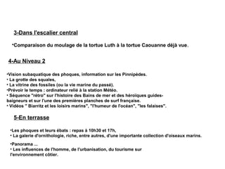5-En terrasse
•Les phoques et leurs ébats : repas à 10h30 et 17h, 
• La galerie d'ornithologie, riche, entre autres, d'une importante collection d'oiseaux marins.
4-Au Niveau 2
•Vision subaquatique des phoques, information sur les Pinnipèdes. 
• La grotte des squales, 
• La vitrine des fossiles (ou la vie marine du passé).
•Prévoir le temps : ordinateur relié à la station Météo. 
• Séquence "rétro" sur l'histoire des Bains de mer et des héroïques guides-
baigneurs et sur l'une des premières planches de surf française. 
• Vidéos " Biarritz et les loisirs marins", "l'humeur de l'océan", "les falaises".
•Panorama ... 
• Les influences de l'homme, de l'urbanisation, du tourisme sur
l'environnement côtier.
•Comparaison du moulage de la tortue Luth à la tortue Caouanne déjà vue. 
3-Dans l'escalier central
 
