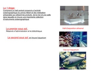 Le 1 étage:
Comprend un hall central consacré a l’activité 
océanographique du prince Albert et des réalisation 
artisanales qui utilisent les produits  de la mer et une salle 
dans laquelle on trouve une importante collection 
d’instruments océanographique
Hall d'exposition artisanalLe premier sous sol: 
Réservé a l'administration et la bibliothèque
Le second sous sol :en trouve l’aquarium
Vue sur l’aquarium
 