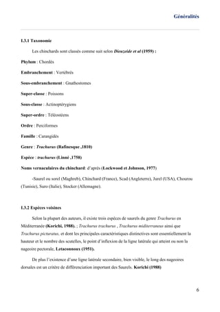 Généralités
6
I.3.1 Taxonomie
Les chinchards sont classés comme suit selon Dieuzeide et al (1959) :
Phylum : Chordés
Embranchement : Vertébrés
Sous-embranchement : Gnathostomes
Super-classe : Poissons
Sous-classe : Actinoptérygiens
Super-ordre : Téléostéens
Ordre : Perciformes
Famille : Carangidés
Genre : Trachurus (Rafinesque ,1810)
Espèce : trachurus (Linné ,1758)
Noms vernaculaires du chinchard: d’après (Lockwood et Johnson, 1977)
-Saurel ou sorel (Maghreb), Chinchard (France), Scad (Angleterre), Jurel (USA), Chourou
(Tunisie), Suro (Italie), Stocker (Allemagne).
I.3.2 Espèces voisines
Selon la plupart des auteurs, il existe trois espèces de saurels du genre Trachurus en
Méditerranée (Korichi, 1988). ; Trachurus trachurus , Trachurus miditerraneus ainsi que
Trachurus picturatus, et dont les principales caractéristiques distinctives sont essentiellement la
hauteur et le nombre des scutelles, le point d’inflexion de la ligne latérale qui atteint ou non la
nageoire pectorale, Letaconnoux (1951).
De plus l’existence d’une ligne latérale secondaire, bien visible, le long des nageoires
dorsales est un critère de différenciation important des Saurels. Korichi (1988)
 