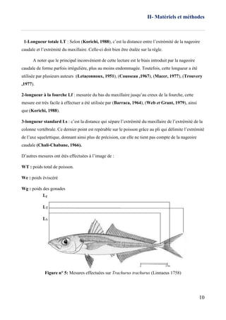 II- Matériels et méthodes
10
1-Longueur totale LT : Selon (Korichi, 1988), c’est la distance entre l’extrémité de la nageoire
caudale et l’extrémité du maxillaire. Celle-ci doit bien être étalée sur la règle.
A noter que le principal inconvénient de cette lecture est le biais introduit par la nageoire
caudale de forme parfois irrégulière, plus au moins endommagée. Toutefois, cette longueur a été
utilisée par plusieurs auteurs :(Letaconnoux, 1951), (Cousseau ,1967), (Macer, 1977), (Trouvery
,1977).
2-longueur à la fourche Lf : mesurée du bas du maxillaire jusqu’au creux de la fourche, cette
mesure est très facile à effectuer a été utilisée par (Barraca, 1964), (Web et Grant, 1979), ainsi
que (Korichi, 1988).
3-longueur standard Ls : c’est la distance qui sépare l’extrémité du maxillaire de l’extrémité de la
colonne vertébrale. Ce dernier point est repérable sur le poisson grâce au pli qui délimite l’extrémité
de l’axe squelettique, donnant ainsi plus de précision, car elle ne tient pas compte de la nageoire
caudale (Chali-Chabane, 1966).
D’autres mesures ont étés effectuées à l’image de :
WT : poids total de poisson.
We : poids éviscéré
Wg : poids des gonades
Figure n° 5: Mesures effectuées sur Trachurus trachurus (Linnaeus 1758)
 