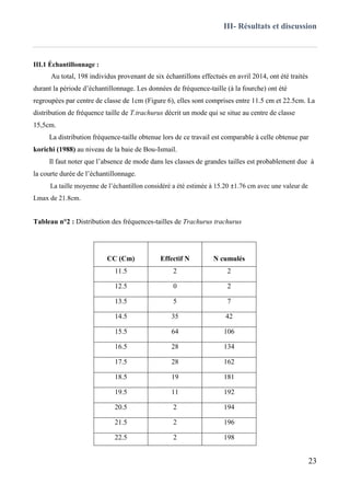III- Résultats et discussion
23
III.1 Échantillonnage :
Au total, 198 individus provenant de six échantillons effectués en avril 2014, ont été traités
durant la période d’échantillonnage. Les données de fréquence-taille (à la fourche) ont été
regroupées par centre de classe de 1cm (Figure 6), elles sont comprises entre 11.5 cm et 22.5cm. La
distribution de fréquence taille de T.trachurus décrit un mode qui se situe au centre de classe
15,5cm.
La distribution fréquence-taille obtenue lors de ce travail est comparable à celle obtenue par
korichi (1988) au niveau de la baie de Bou-Ismail.
Il faut noter que l’absence de mode dans les classes de grandes tailles est probablement due à
la courte durée de l’échantillonnage.
La taille moyenne de l’échantillon considéré a été estimée à 15.20 ±1.76 cm avec une valeur de
Lmax de 21.8cm.
Tableau n°2 : Distribution des fréquences-tailles de Trachurus trachurus
CC (Cm) Effectif N N cumulés
11.5 2 2
12.5 0 2
13.5 5 7
14.5 35 42
15.5 64 106
16.5 28 134
17.5 28 162
18.5 19 181
19.5 11 192
20.5 2 194
21.5 2 196
22.5 2 198
 