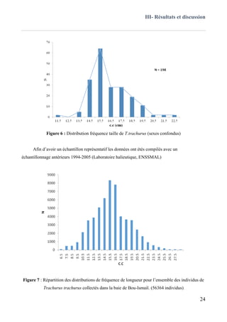 III- Résultats et discussion
24
Figure 6 : Distribution fréquence taille de T.trachurus (sexes confondus)
Afin d’avoir un échantillon représentatif les données ont étés compilés avec un
échantillonnage antérieurs 1994-2005 (Laboratoire halieutique, ENSSMAL)
Figure 7 : Répartition des distributions de fréquence de longueur pour l’ensemble des individus de
Trachurus trachurus collectés dans la baie de Bou-Ismail. (56364 individus)
 