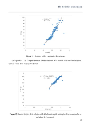III- Résultats et discussion
35
Figure 12 : Relation tailles –poids chez T.trachurus.
Les figures n° 12 et 13 représentent les courbes linéaires de la relation taille à la fourche poids
total du Saurel de la baie de Bou-Ismail.
Figure 13: Courbe linéaire de la relation taille à la fourche-poids totale chez Trachurus trachurus
de la baie de Bou-Ismail.
y = 0.0266x2.8212
R² = 0.924
0
10
20
30
40
50
60
70
80
90
100
0 5 10 15 20 25
Wt(g)
Lf (cm)
y = 2.7212x - 3.6274
R² = 0.924
0
0.5
1
1.5
2
2.5
3
3.5
4
4.5
5
1 1.5 2 2.5 3 3.5
LnWt(g)
Ln Lf (cm)
 