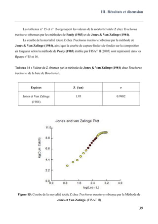 III- Résultats et discussion
39
Les tableaux n° 15 et n° 16 regroupent les valeurs de la mortalité totale Z chez Trachurus
trachurus obtenues par les méthodes de Pauly (1983) et de Jones & Van Zalinge (1984).
La courbe de la mortalité totale Z chez Trachurus trachurus obtenue par la méthode de
Jones & Van Zalinge (1984), ainsi que la courbe de capture linéarisée fondée sur la composition
en longueur selon la méthode de Pauly (1983) établie par FISAT II (2005) sont représenté dans les
figures n°15 et 16.
Tableau 16 : Valeur de Z obtenue par la méthode de Jones & Van Zalinge (1984) chez Trachurus
trachurus de la baie de Bou-Ismail.
Espèces Z (/an) r
Jones et Van Zalinge
(1984)
1.95 0.9982
Figure 15: Courbe de la mortalité totale Z chez Trachurus trachurus obtenue par la Méthode de
Jones et Van Zalinge. (FISAT II)
 