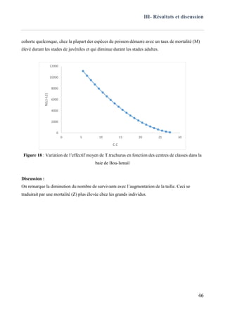 III- Résultats et discussion
46
cohorte quelconque, chez la plupart des espèces de poisson démarre avec un taux de mortalité (M)
élevé durant les stades de juvéniles et qui diminue durant les stades adultes.
Figure 18 : Variation de l’effectif moyen de T.trachurus en fonction des centres de classes dans la
baie de Bou-Ismail
Discussion :
On remarque la diminution du nombre de survivants avec l’augmentation de la taille. Ceci se
traduirait par une mortalité (Z) plus élevée chez les grands individus.
0
2000
4000
6000
8000
10000
12000
0 5 10 15 20 25 30
N(L1-L2)
C.C
 