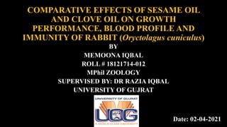 COMPARATIVE EFFECTS OF SESAME OIL
AND CLOVE OIL ON GROWTH
PERFORMANCE, BLOOD PROFILE AND
IMMUNITY OF RABBIT (Oryctolagus cuniculus)
BY
MEMOONA IQBAL
ROLL # 18121714-012
MPhil ZOOLOGY
SUPERVISED BY: DR RAZIA IQBAL
UNIVERSITY OF GUJRAT
Date: 02-04-2021
 