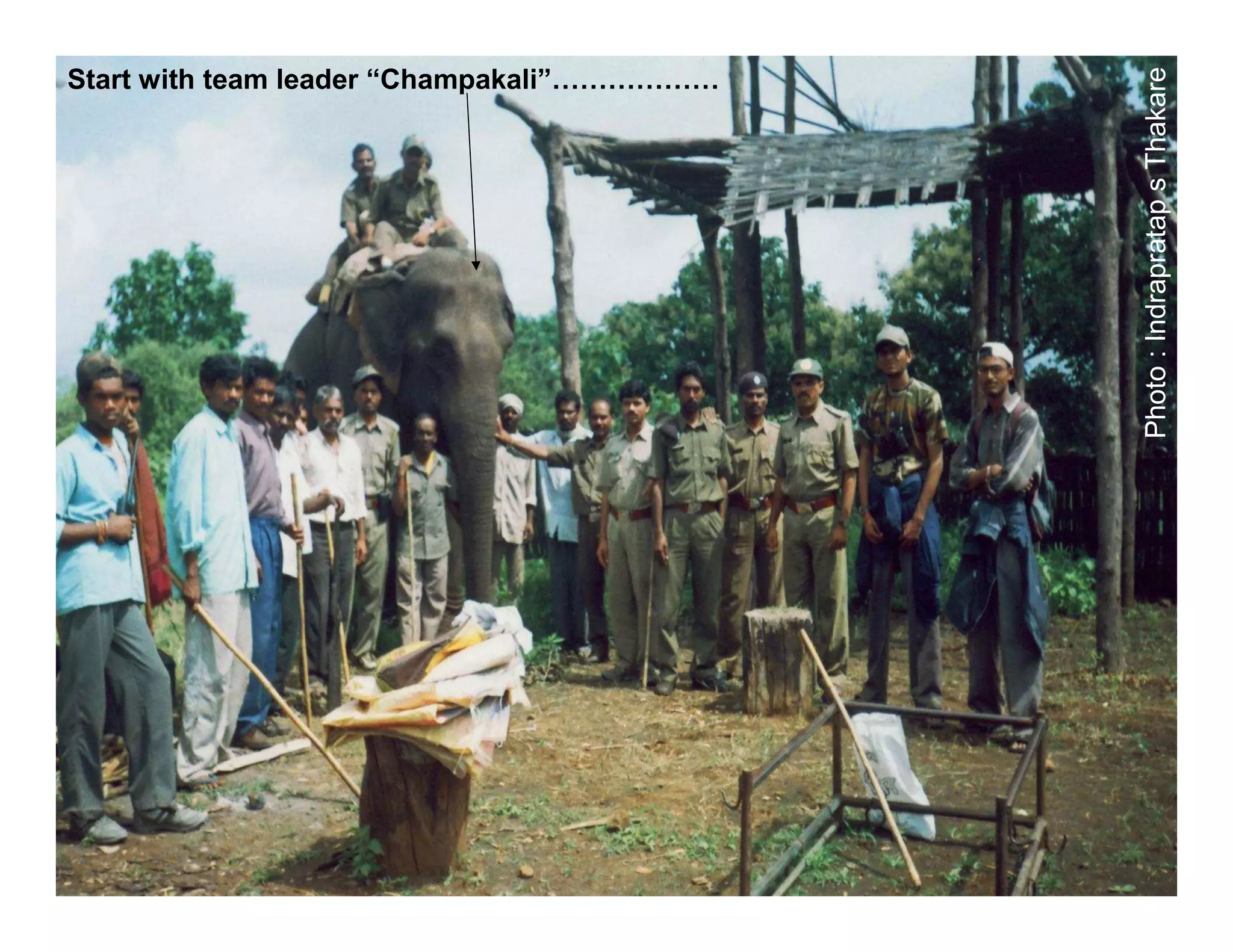 Photo : Indrapratap s Thakare
Start with team leader “Champakali”………………
 