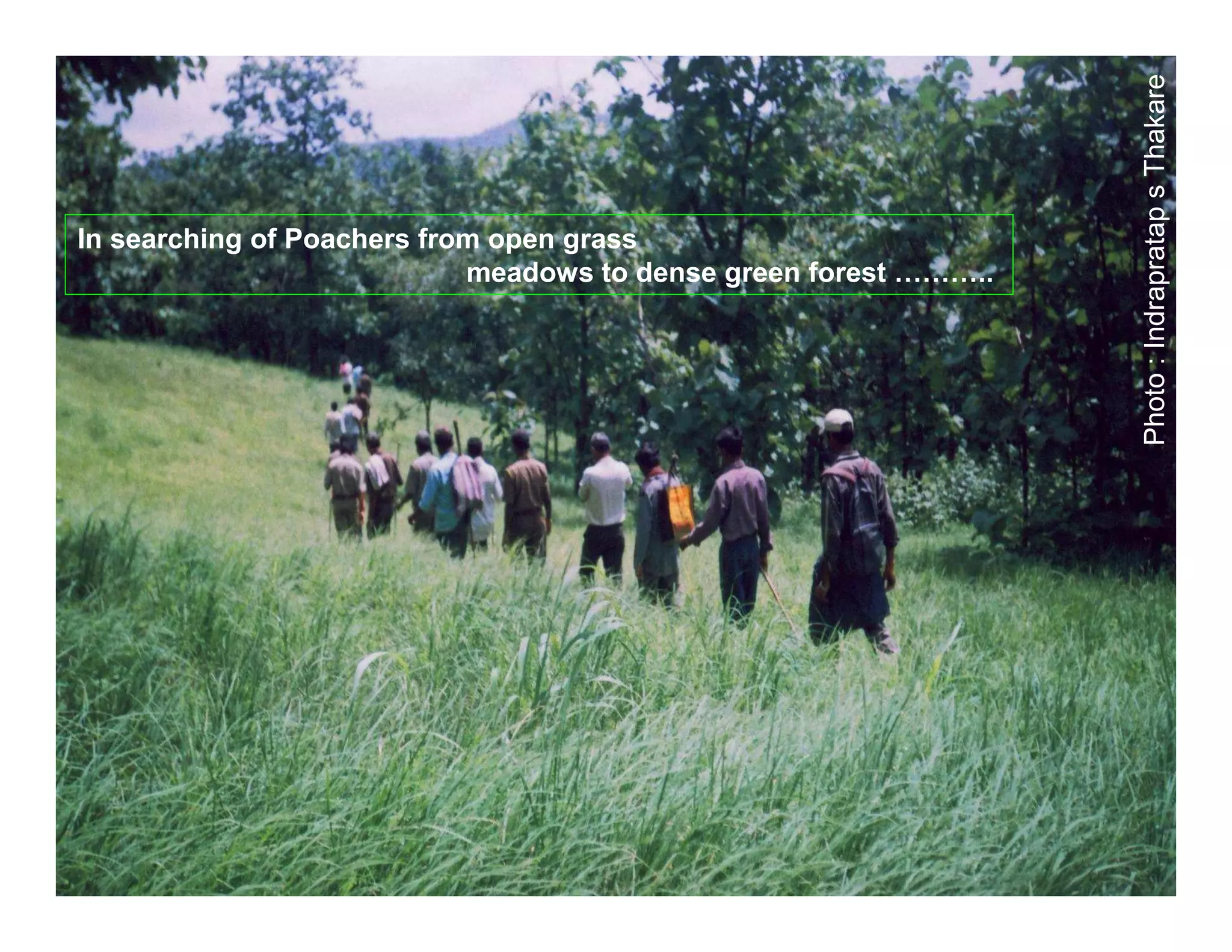 Photo : Indrapratap s Thakare
In searching of Poachers from open grass
                            meadows to dense green forest ………..
 