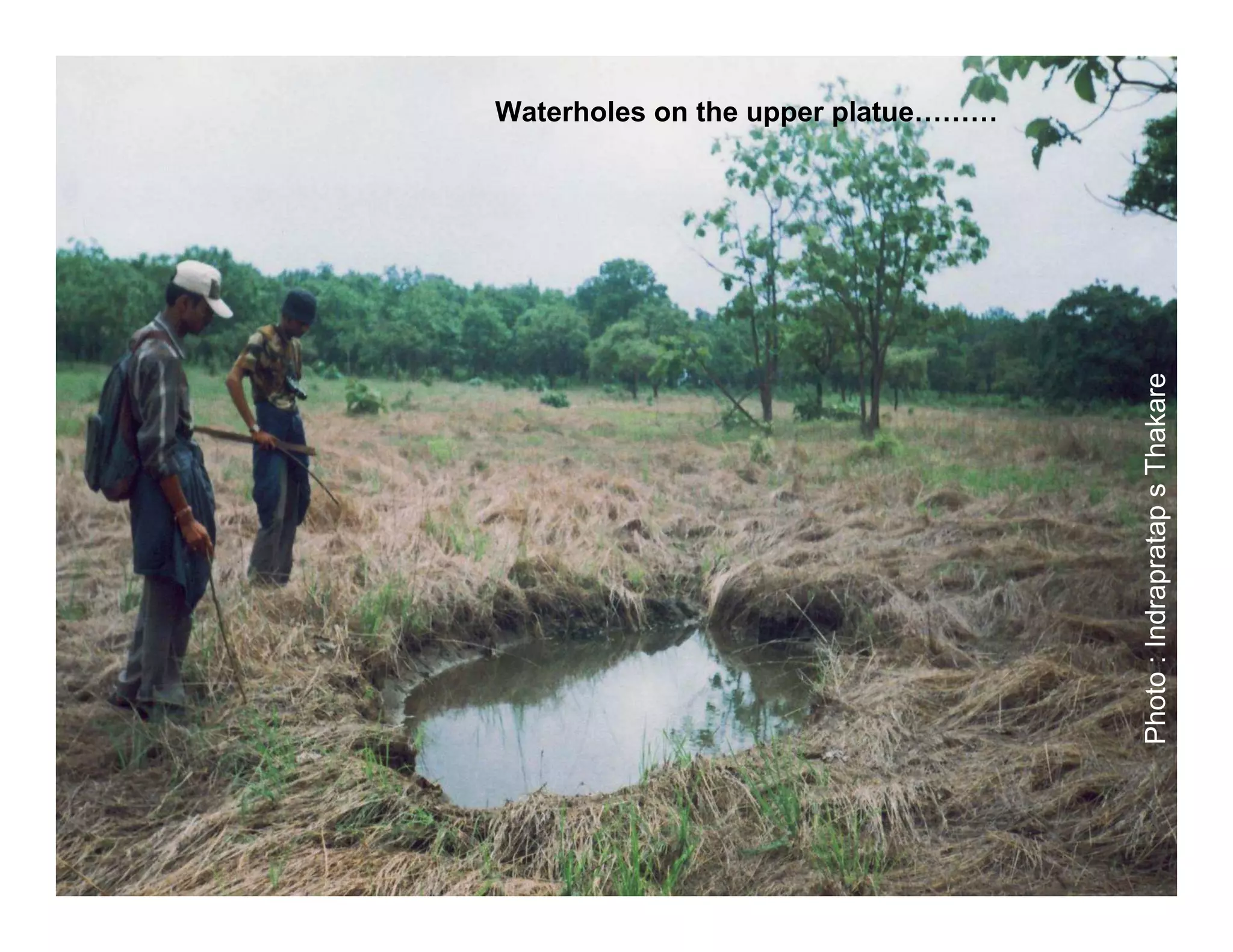 Waterholes on the upper platue………




                                    Photo : Indrapratap s Thakare
 