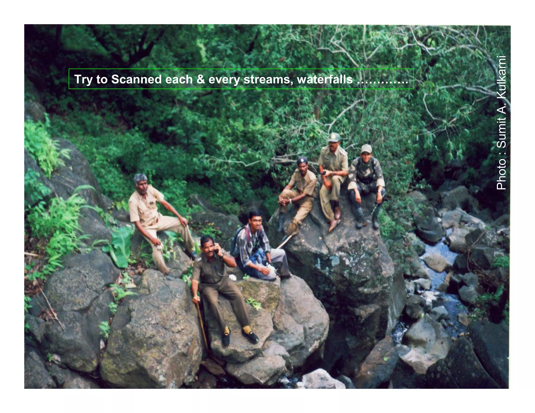 Photo : Sumit A. Kulkarni
Try to Scanned each & every streams, waterfalls ………….
 