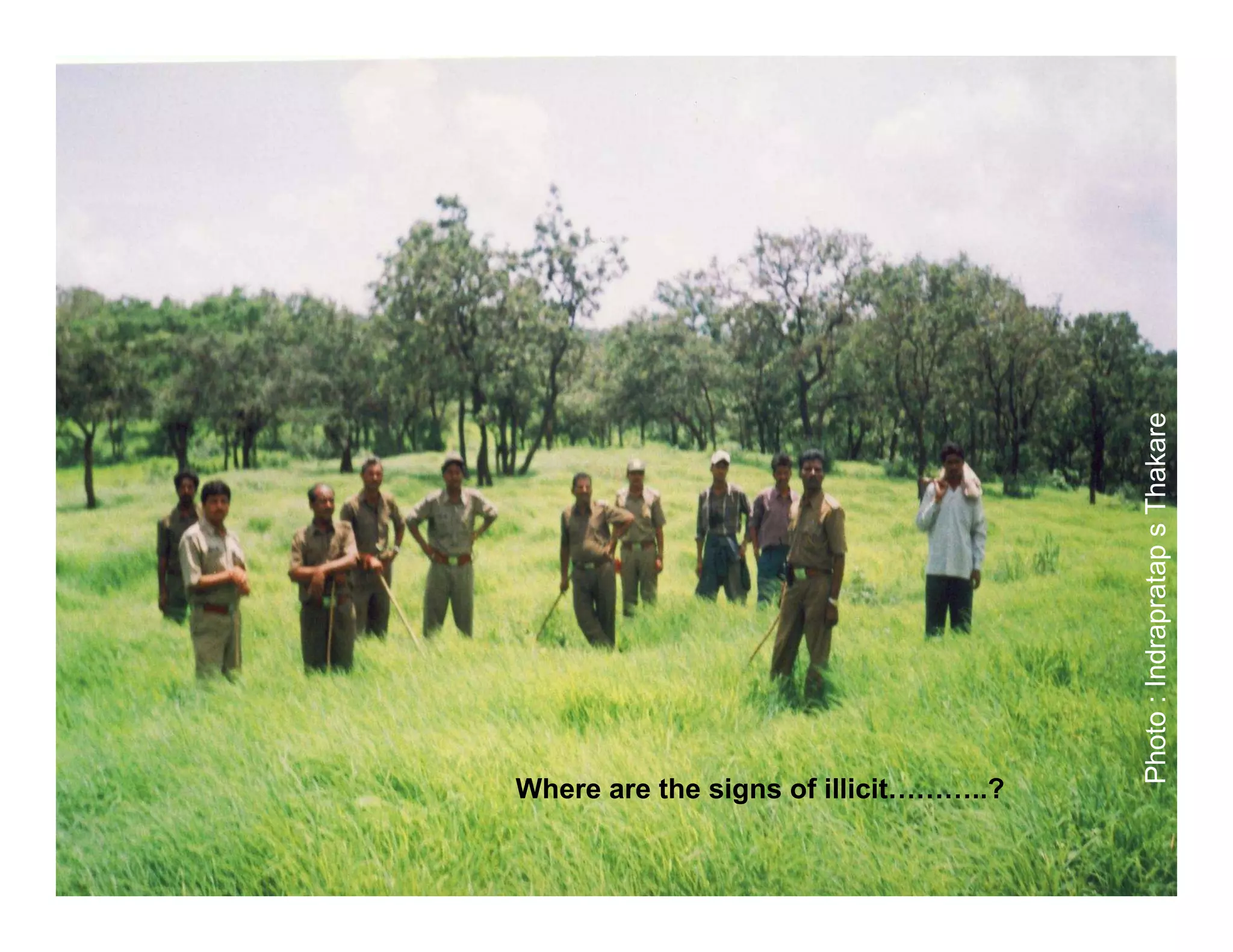 Photo : Indrapratap s Thakare
Where are the signs of illicit………..?
 