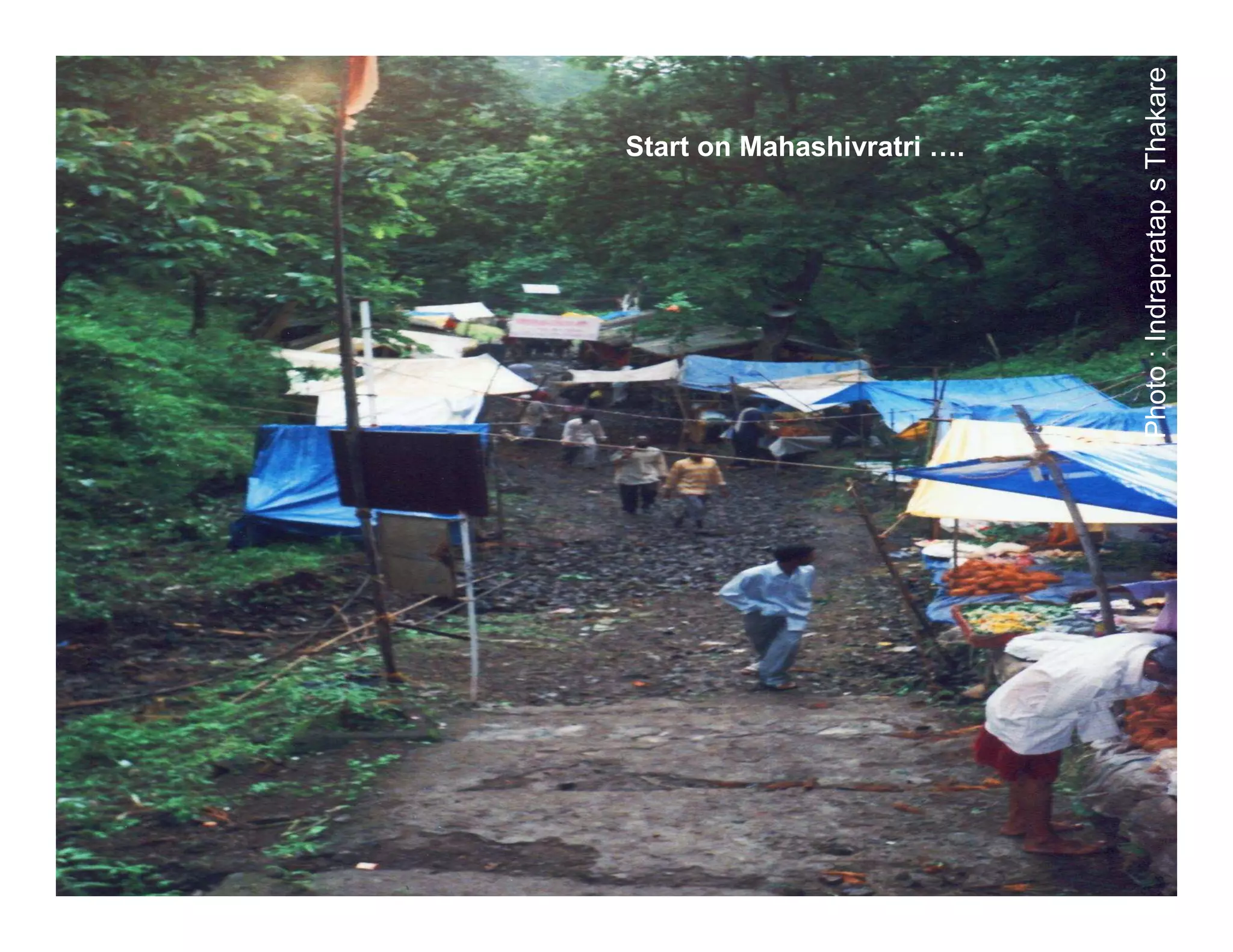 Start on Mahashivratri ….




Photo : Indrapratap s Thakare
 