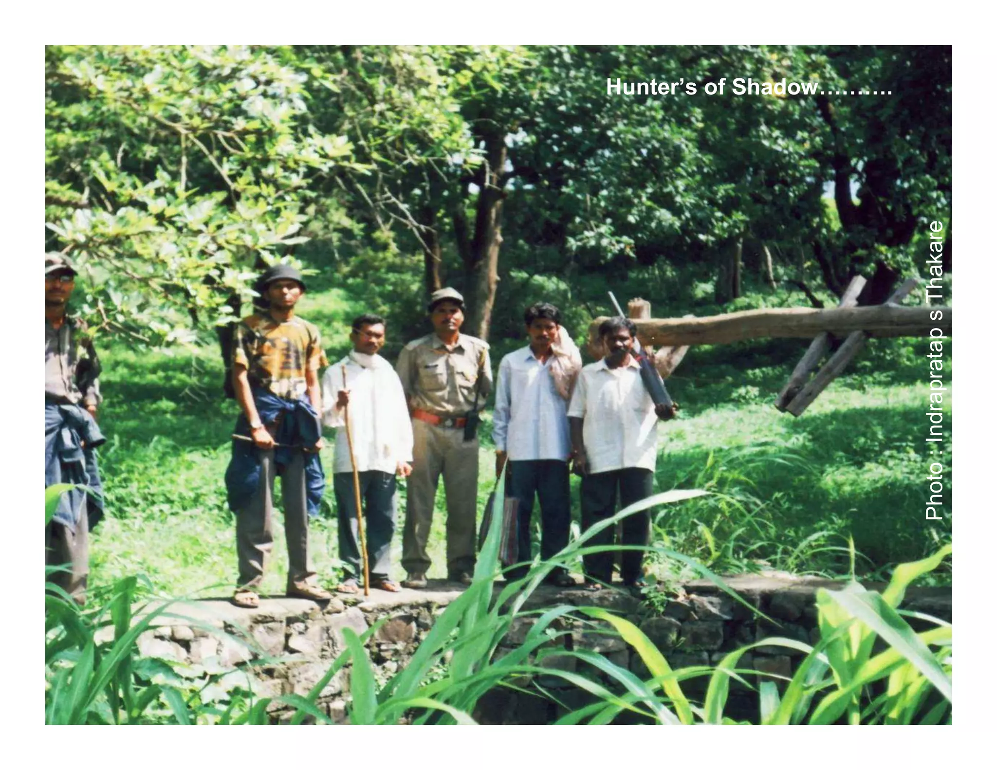 Hunter’s of Shadow……….




Photo : Indrapratap s Thakare
 