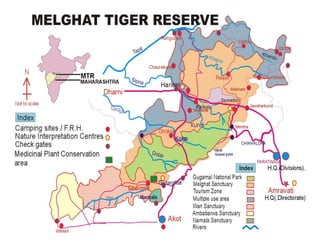 MelGhat Tiger Reserve - All You Need to Know BEFORE You Go (with Photos)