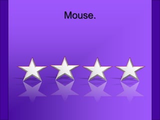 Mouse.
 