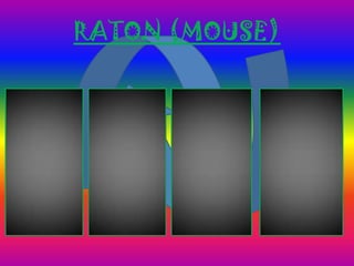 RATON (MOUSE)
 