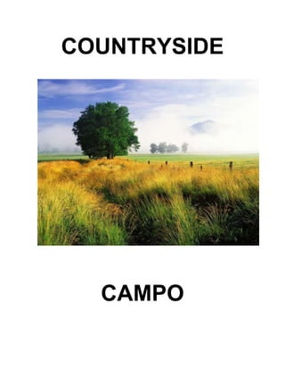 COUNTRYSIDE
CAMPO
 