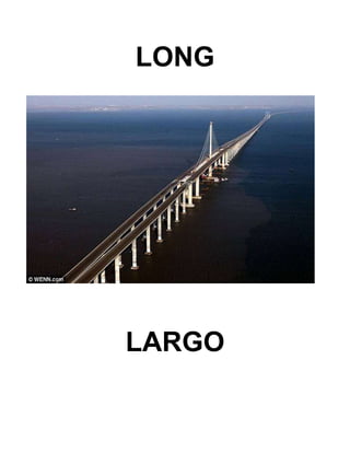 LONG
LARGO
 