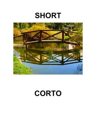 SHORT
CORTO
 