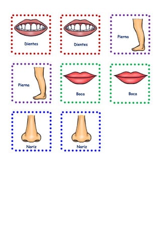 Dientes Dientes
Pierna
Pierna
Boca Boca
Nariz Nariz
 
