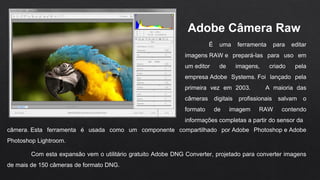 Adobe Câmera Raw 
É uma ferramenta para editar
imagens RAW e prepará-las para uso em
um editor de imagens, criado pela
empresa Adobe Systems. Foi lançado pela
primeira vez em 2003. A maioria das
câmeras digitais profissionais salvam o
formato de imagem RAW contendo
informações completas a partir do sensor da
câmera. Esta ferramenta é usada como um componente compartilhado por Adobe Photoshop e Adobe
Photoshop Lightroom.
Com esta expansão vem o utilitário gratuito Adobe DNG Converter, projetado para converter imagens
de mais de 150 câmeras de formato DNG.
 