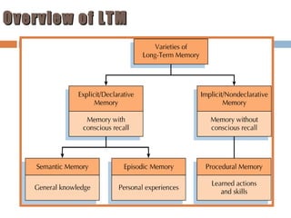 Overview of LTM

 