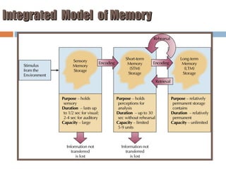 Integrated Model of Memory

 
