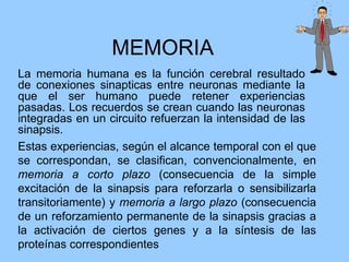 MEMORIA
La memoria humana es la función cerebral resultado
de conexiones sinapticas entre neuronas mediante la
que el ser humano puede retener experiencias
pasadas. Los recuerdos se crean cuando las neuronas
integradas en un circuito refuerzan la intensidad de las
sinapsis.
Estas experiencias, según el alcance temporal con el que
se correspondan, se clasifican, convencionalmente, en
memoria a corto plazo (consecuencia de la simple
excitación de la sinapsis para reforzarla o sensibilizarla
transitoriamente) y memoria a largo plazo (consecuencia
de un reforzamiento permanente de la sinapsis gracias a
la activación de ciertos genes y a la síntesis de las
proteínas correspondientes
 