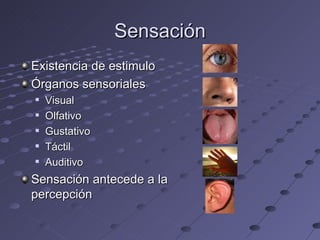 Sensación Existencia de estimulo Órganos sensoriales Visual Olfativo Gustativo Táctil Auditivo Sensación antecede a la percepción 
