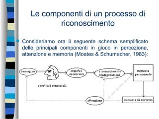 Le componenti di un processo di
riconoscimento
 Consideriamo ora il seguente schema semplificato
delle principali componenti in gioco in percezione,
attenzione e memoria (Moates & Schumacher, 1983):
 