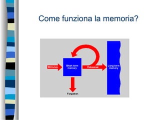 Come funziona la memoria?
 