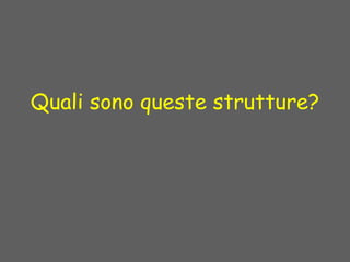 Quali sono queste strutture?
 