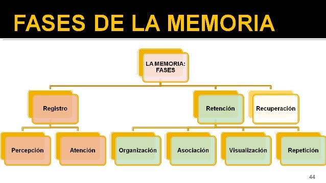 Memoria