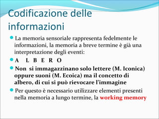 Codificazione delle
informazioni
La memoria sensoriale rappresenta fedelmente le
informazioni, la memoria a breve termine è già una
interpretazione degli eventi:
A L B E R O
Non si immagazzinano solo lettere (M. Iconica)
oppure suoni (M. Ecoica) ma il concetto di
albero, di cui si può rievocare l’immagine
Per questo è necessario utilizzare elementi presenti
nella memoria a lungo termine, la working memory
 