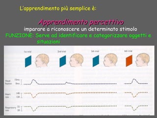 Apprendimento percettivoApprendimento percettivo
imparare a riconoscere un determinato stimolo
FUNZIONE: Serve ad identificare e categorizzare oggetti e
situazioni
L’apprendimento più semplice è:
 