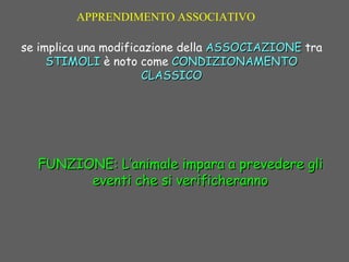 FUNZIONE: L’animale impara a prevedere gliFUNZIONE: L’animale impara a prevedere gli
eventi che si verificherannoeventi che si verificheranno
se implica una modificazione della ASSOCIAZIONEASSOCIAZIONE tra
STIMOLISTIMOLI è noto come CONDIZIONAMENTOCONDIZIONAMENTO
CLASSICOCLASSICO
APPRENDIMENTO ASSOCIATIVO
 