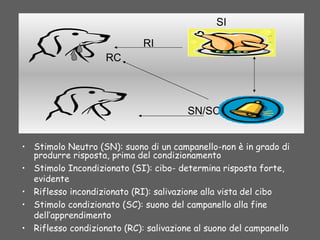 • Stimolo Neutro (SN): suono di un campanello-non è in grado di
produrre risposta, prima del condizionamento
• Stimolo Incondizionato (SI): cibo- determina risposta forte,
evidente
• Riflesso incondizionato (RI): salivazione alla vista del cibo
• Stimolo condizionato (SC): suono del campanello alla fine
dell’apprendimento
• Riflesso condizionato (RC): salivazione al suono del campanello
SN/SC
RI
SI
RC
 