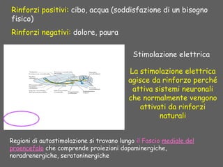 Rinforzi positivi: cibo, acqua (soddisfazione di un bisogno
fisico)
Rinforzi negativi: dolore, paura
Regioni di autostimolazione si trovano lungo il Fascio mediale del
proencefalo che comprende proiezioni dopaminergiche,
noradrenergiche, serotoninergiche
La stimolazione elettrica
agisce da rinforzo perché
attiva sistemi neuronali
che normalmente vengono
attivati da rinforzi
naturali
Stimolazione elettrica
 