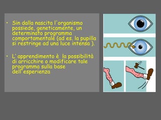 • Sin dalla nascita l'organismo
possiede, geneticamente, un
determinato programma
comportamentale (ad es. la pupilla
si restringe ad una luce intensa ).
• L’ apprendimento è la possibilità
di arricchire o modificare tale
programma sulla base
dell'esperienza
 