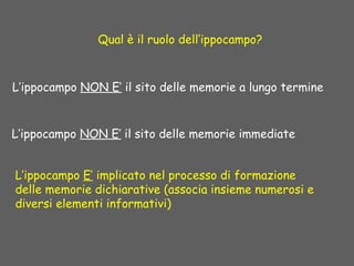 Qual è il ruolo dell’ippocampo?
L’ippocampo NON E’ il sito delle memorie a lungo termine
L’ippocampo NON E’ il sito delle memorie immediate
L’ippocampo E’ implicato nel processo di formazione
delle memorie dichiarative (associa insieme numerosi e
diversi elementi informativi)
 