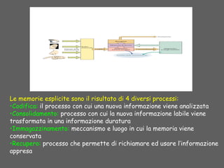 Le memorie esplicite sono il risultato di 4 diversi processi:
•Codifica: il processo con cui una nuova informazione viene analizzata
•Consolidamento: processo con cui la nuova informazione labile viene
trasformata in una informazione duratura
•Immagazzinamento: meccanismo e luogo in cui la memoria viene
conservata
•Recupero: processo che permette di richiamare ed usare l’informazione
appresa
 