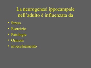 La neurogenesi ippocampale
nell’adulto è influenzata da
• Stress
• Esercizio
• Patologie
• Ormoni
• invecchiamento
 