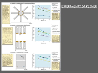 ESPERIMENTI DI KESNER
 
