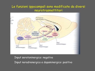 Le funzioni ippocampali sono modificate da diversi
neurotrasmettitori
Input serotoninergico: negativo
Input noradrenergico e dopaminergico: positivo
 