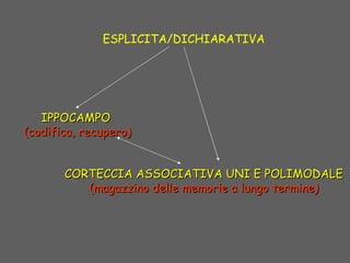 ESPLICITA/DICHIARATIVA
IPPOCAMPOIPPOCAMPO
(codifica, recupero)(codifica, recupero)
CORTECCIA ASSOCIATIVA UNI E POLIMODALECORTECCIA ASSOCIATIVA UNI E POLIMODALE
(magazzino delle memorie a lungo termine)(magazzino delle memorie a lungo termine)
 