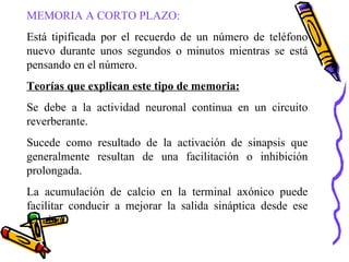 MEMORIA A CORTO PLAZO: Está tipificada por el recuerdo de un número de teléfono nuevo durante unos segundos o minutos mientras se está pensando en el número. Teorías que explican este tipo de memoria: Se debe a la actividad neuronal continua en un circuito reverberante. Sucede como resultado de la activación de sinapsis que generalmente resultan de una facilitación o inhibición prolongada. La acumulación de calcio en la terminal axónico puede facilitar conducir a mejorar la salida sináptica desde ese terminal. 