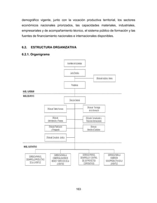 163
demográfico vigente, junto con la vocación productiva territorial, los sectores
económicos nacionales priorizados, las capacidades materiales, industriales,
empresariales y de acompañamiento técnico, el sistema público de formación y las
fuentes de financiamiento nacionales e internacionales disponibles.
6.2. ESTRUCTURA ORGANIZATIVA
6.2.1. Organigrama
 