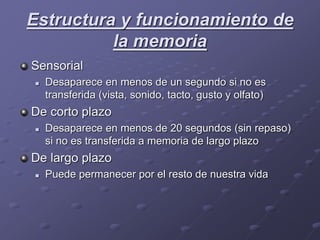 Estructura y funcionamiento de
la memoria
Sensorial
 Desaparece en menos de un segundo si no es
transferida (vista, sonido, tacto, gusto y olfato)
De corto plazo
 Desaparece en menos de 20 segundos (sin repaso)
si no es transferida a memoria de largo plazo
De largo plazo
 Puede permanecer por el resto de nuestra vida
 