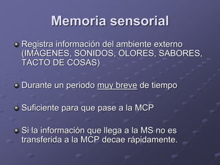Memoria sensorial
Registra información del ambiente externo
(IMÁGENES, SONIDOS, OLORES, SABORES,
TACTO DE COSAS)
Durante un periodo muy breve de tiempo
Suficiente para que pase a la MCP
Si la información que llega a la MS no es
transferida a la MCP decae rápidamente.
 