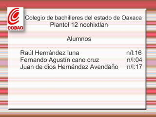 Colegio de bachilleres del estado de Oaxaca Plantel 12 nochixtlan Alumnos  Raúl Hernández luna                           n/l:16       Fernando Agustín cano cruz                n/l:04       Juan de dios Hernández Avendaño     n/l:17 
